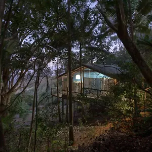  Lodge Treetops Seaview Australia